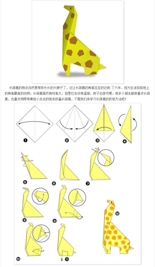 动物怎么折纸