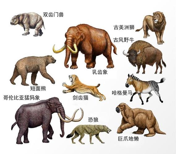 已经灭绝的动物图册