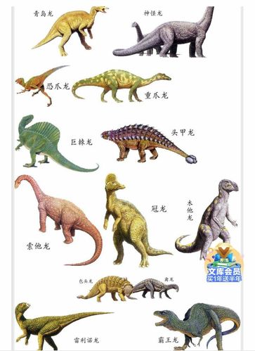 恐龙的种类名称和图片