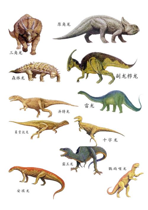 恐龙的种类图片