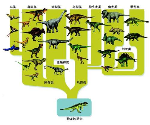 恐龙进化史完整版