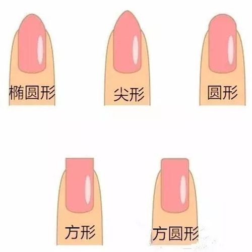 指甲的五种类型