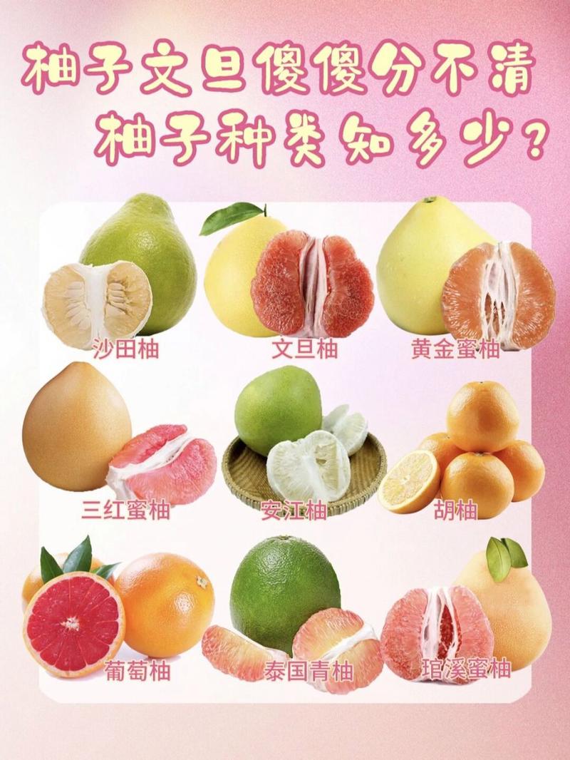 柚子的品种