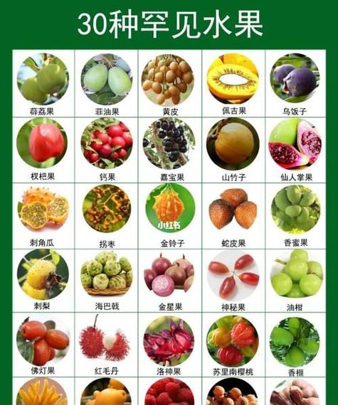 水果种类大全100种