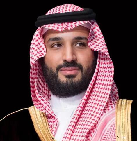 沙特国王是什么家族