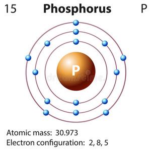 磷脂组成的元素