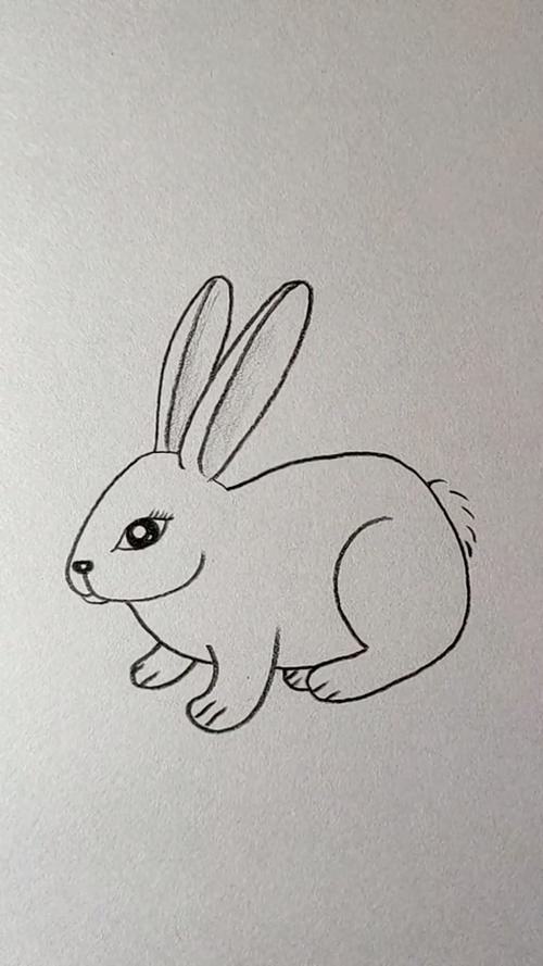 7十2画兔子
